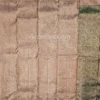 Rich Teal Green Body and Soft Champagne-Gold Border Pure Kanjivaram Saree