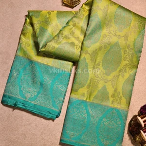 Soft pista green and sea green border Pure Kanjivaram Saree