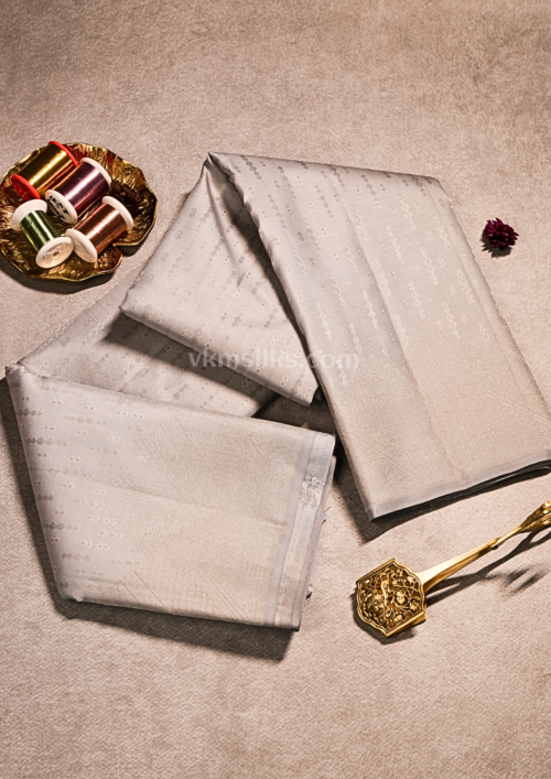 Elegant Silver Grey with Self Zari Weaving Borderless Monotone kanjivaram silk saree