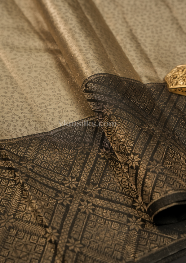 Elegant Champagne Gold Silk Saree with Black Zari Border