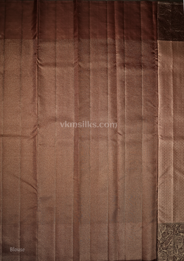 9 - 2026-04-15T171541.635 Champagne Gold Silk Saree with Rich Maroon Paisley Border