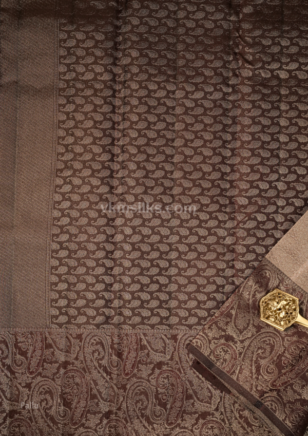 9 - 2026-04-15T171729.624 Champagne Gold Silk Saree with Rich Maroon Paisley Border