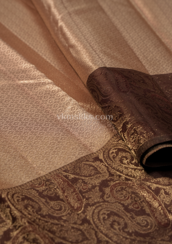 9 - 2026-04-15T171748.270 Champagne Gold Silk Saree with Rich Maroon Paisley Border