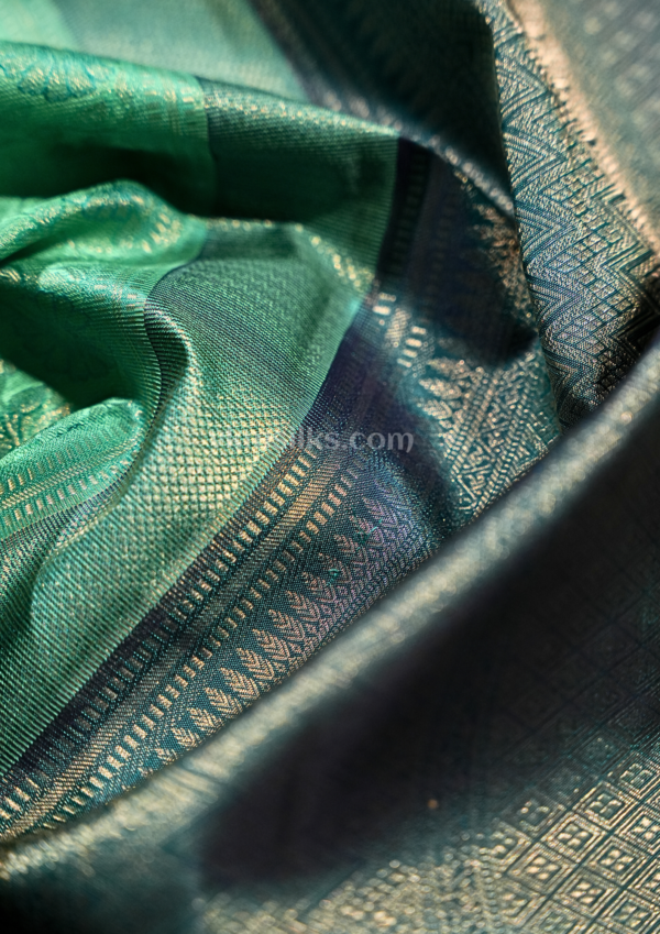National Love Your Pet Day (11) Aqua Mint Green Pure Silk Saree with Slate Grey Border & Floral Jacquard Weaving