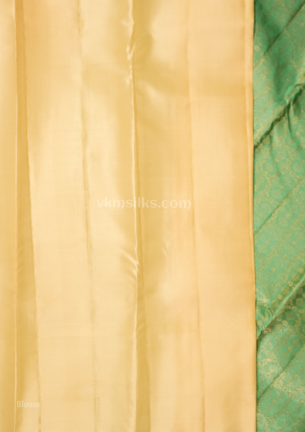 National Love Your Pet Day (2) Premium Seafoam Mint Green Pure Silk Saree with Champagne Gold Border & Floral Zari Weaving