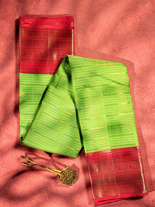 Parrot green stripes body with pink border